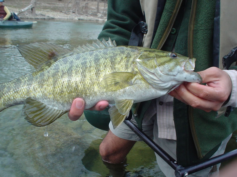 Central Texas Flyfishers, San Marcos Texas Stories Fly Fishing a